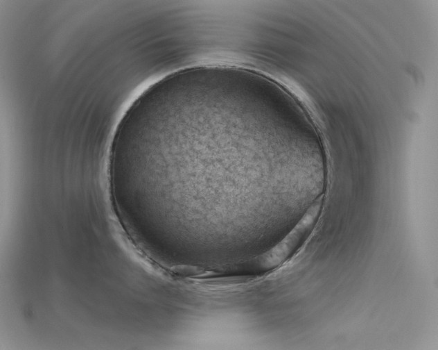 X0000115730864200911121510