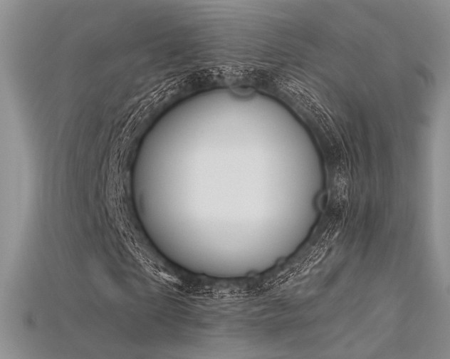 X0000115730865200911121510