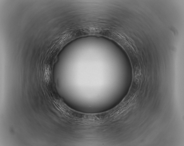 X0000115730866200911121510