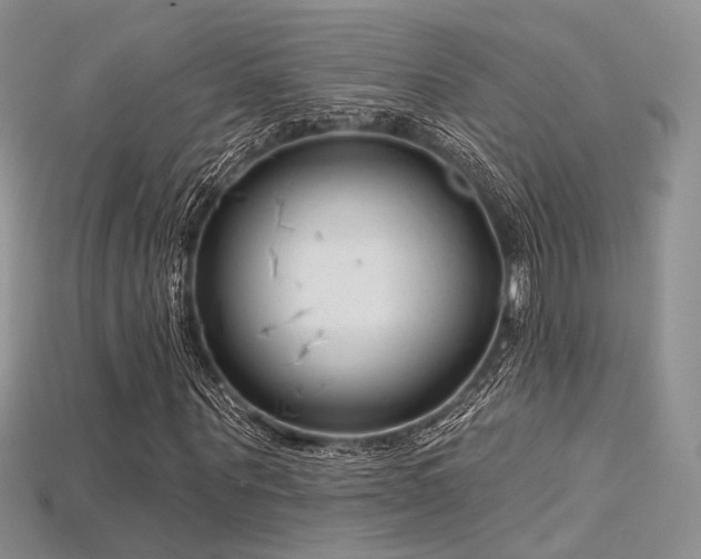 X0000115730867200911121510