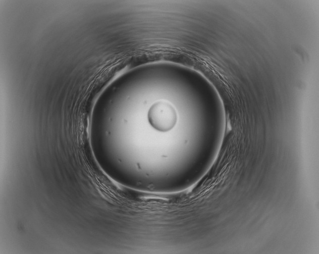 X0000115730868200911121510