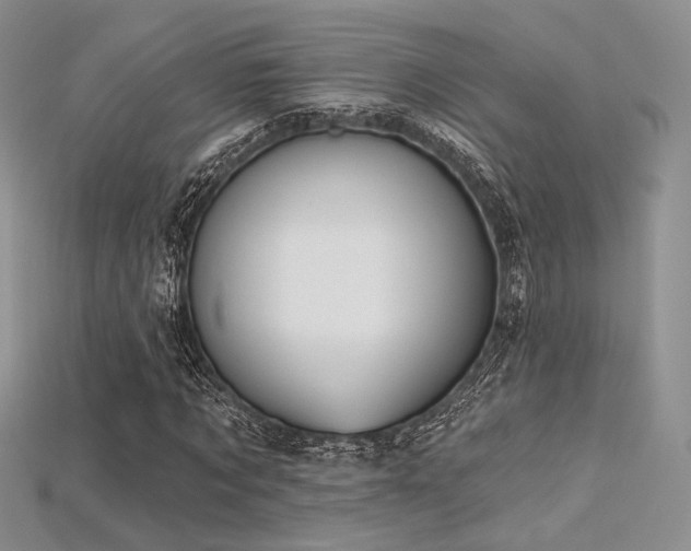 X0000115730869200911121510