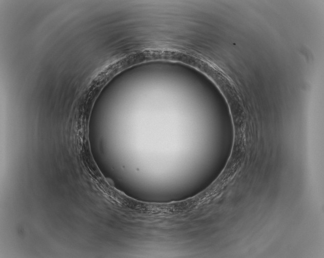 X0000115730870200911121510