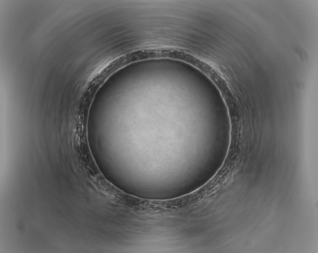 X0000115730871200911121510