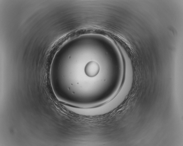 X0000115730872200911121509