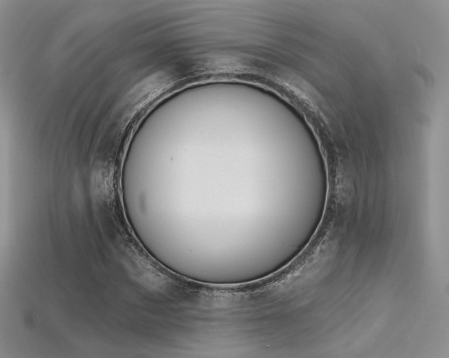 X0000115730873200911121509
