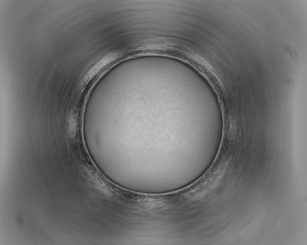 X0000115730874200911121509