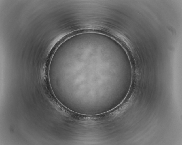 X0000115730875200911121509