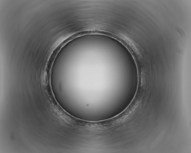 X0000115730876200911121509