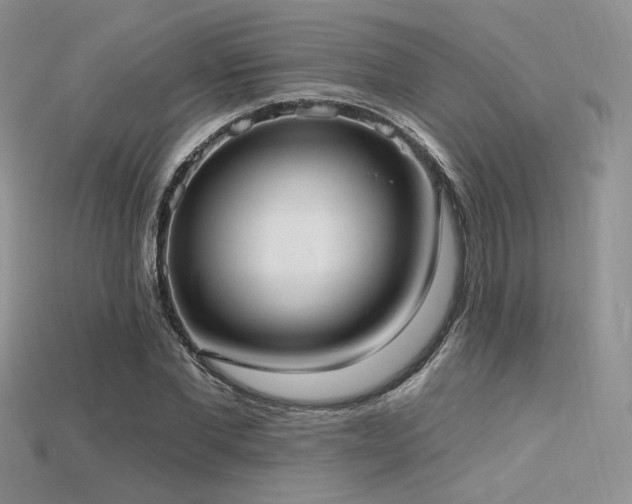 X0000115730877200911121509