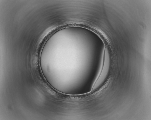 X0000115730878200911121509
