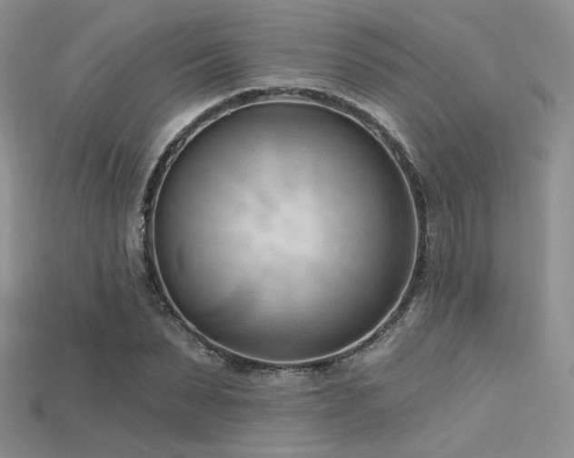 X0000115730879200911121509