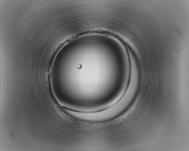 X0000115730881200911121509