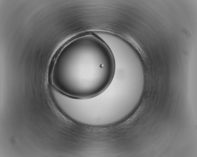 X0000115730884200911121509