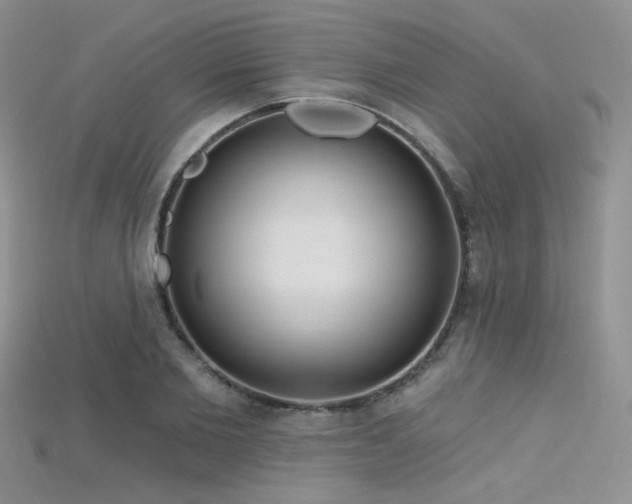X0000115730885200911121509