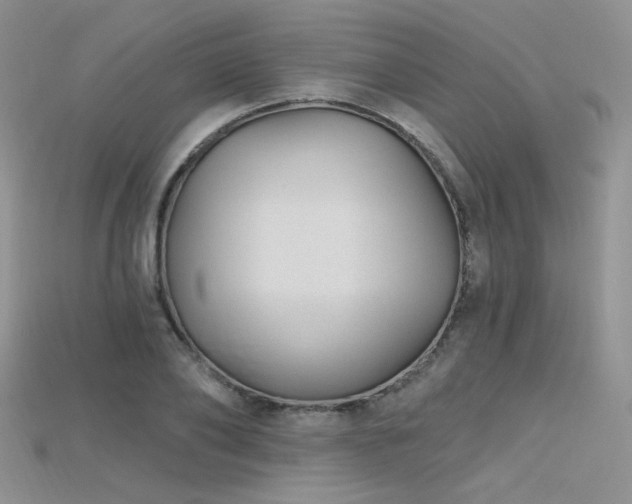 X0000115730886200911121509
