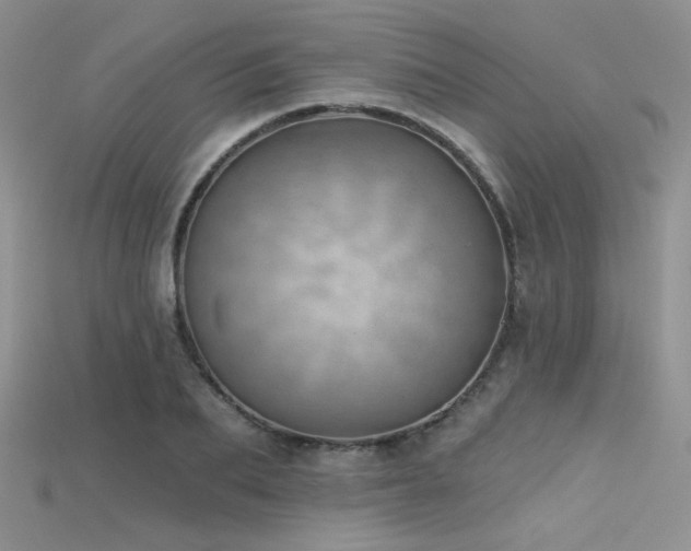 X0000115730887200911121509