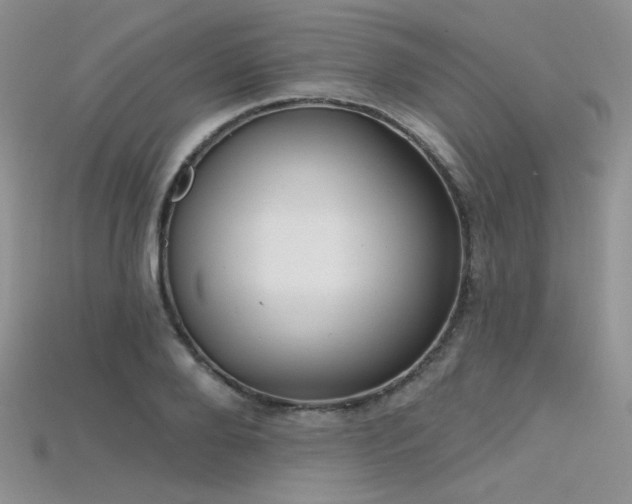 X0000115730888200911121509