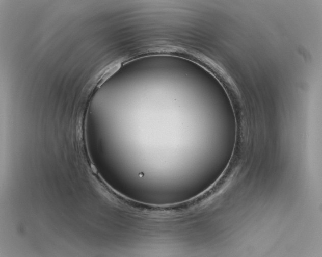 X0000115730889200911121509