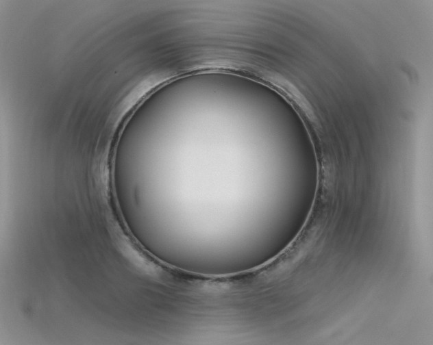 X0000115730890200911121509