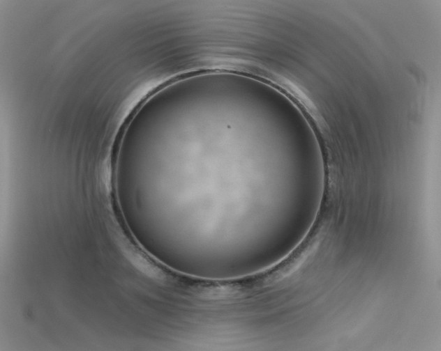 X0000115730891200911121509