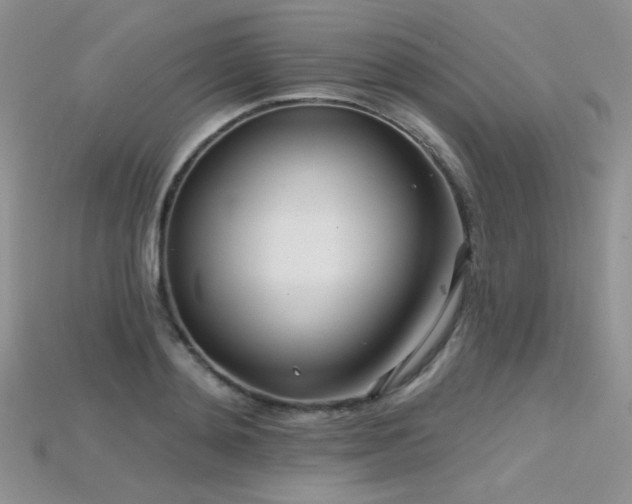 X0000115730892200911121509