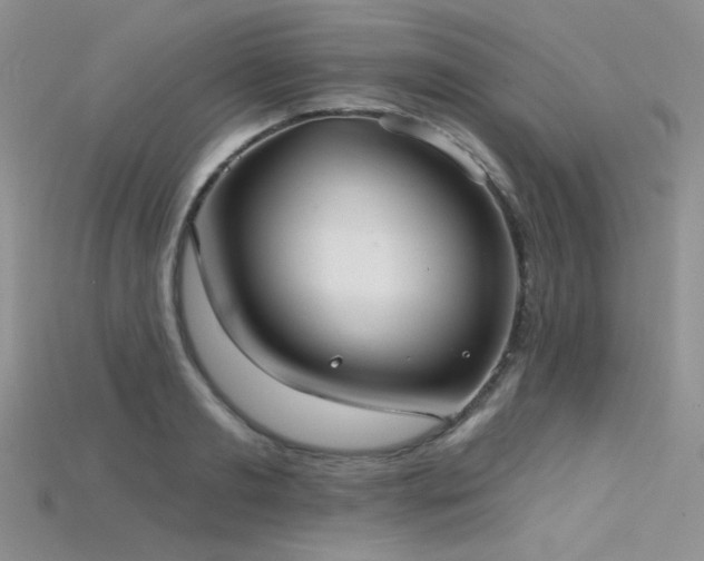 X0000115730893200911121509