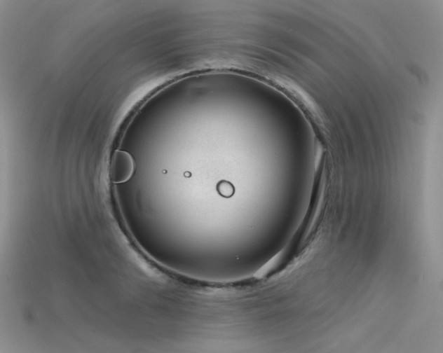 X0000115730894200911121509