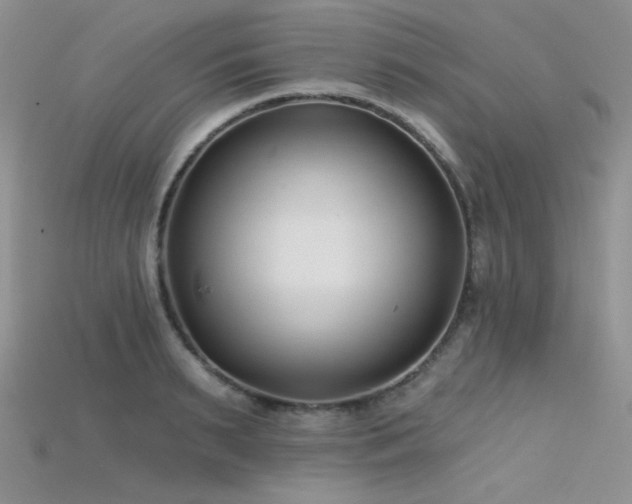 X0000115730895200911121509