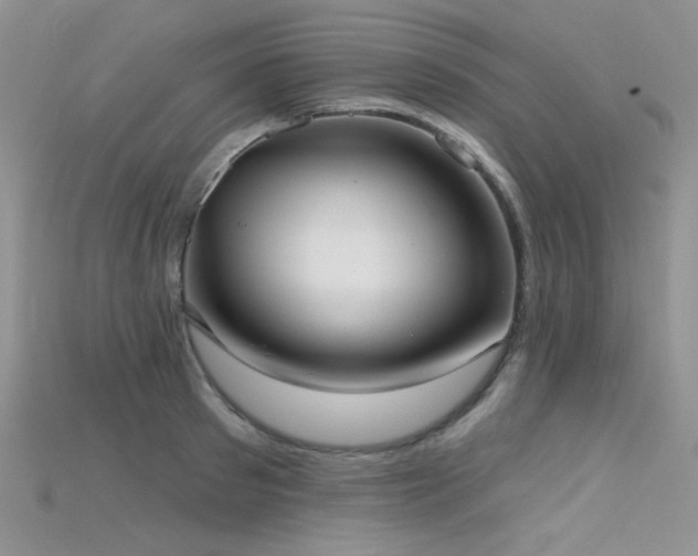 X0000115730897200911121509
