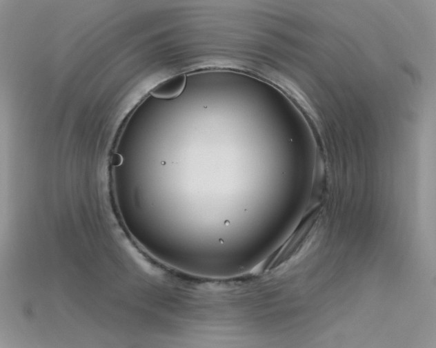X0000115730898200911121509