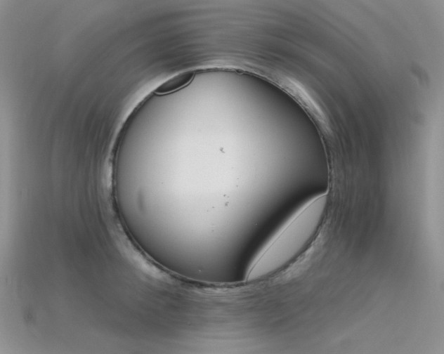 X0000115730900200911121509