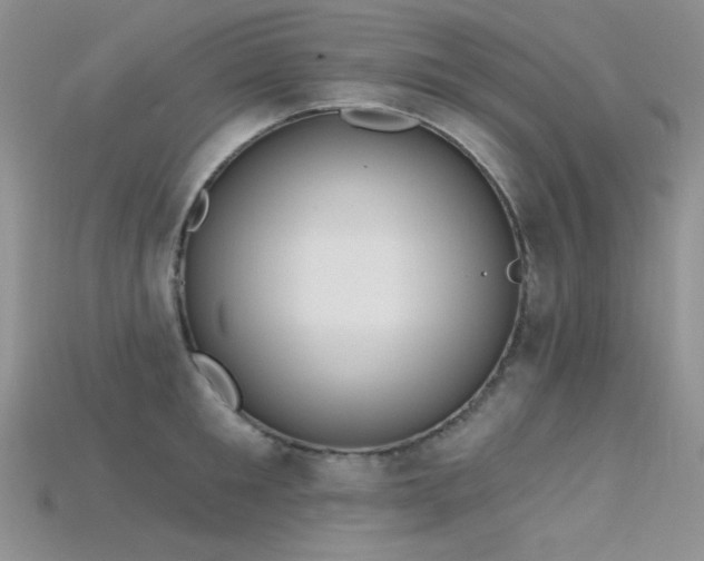 X0000115730901200911121509