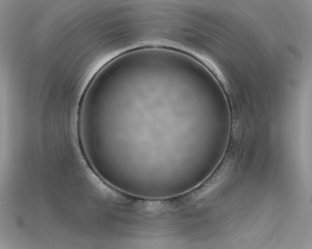 X0000115730903200911121509