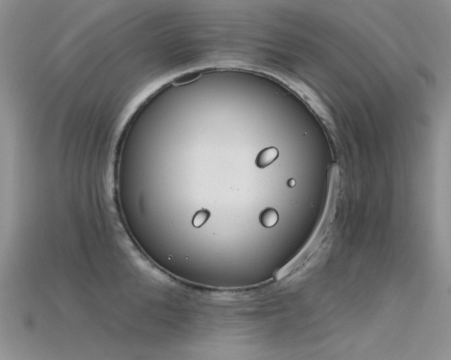 X0000115730904200911121509