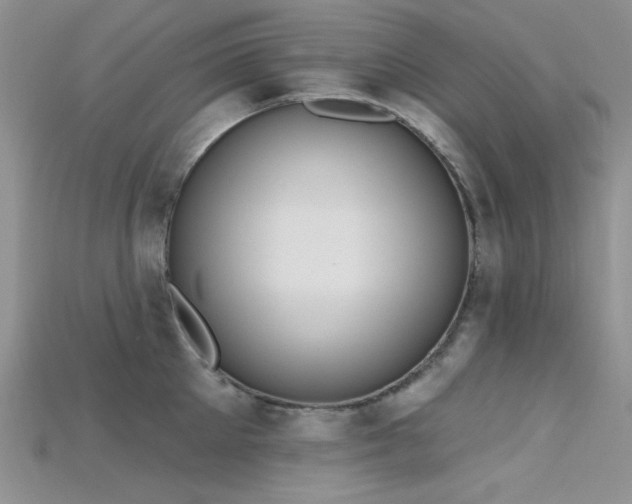 X0000115730905200911121509