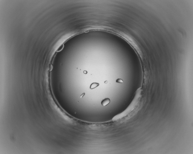 X0000115730906200911121509