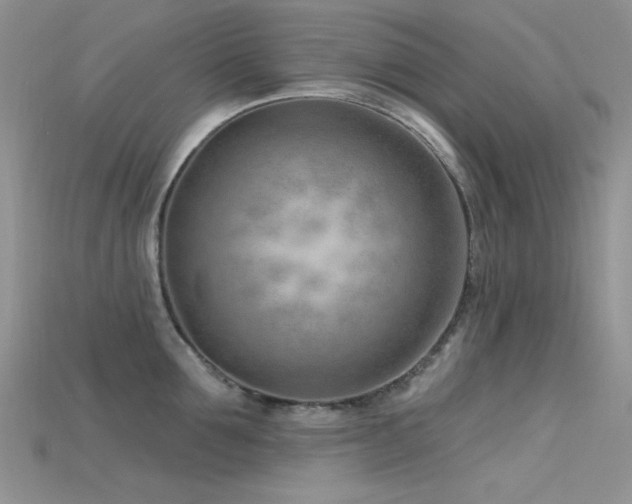 X0000115730907200911121509