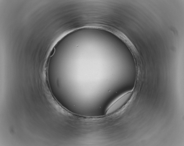 X0000115730908200911121509