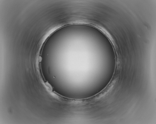 X0000115730909200911121509