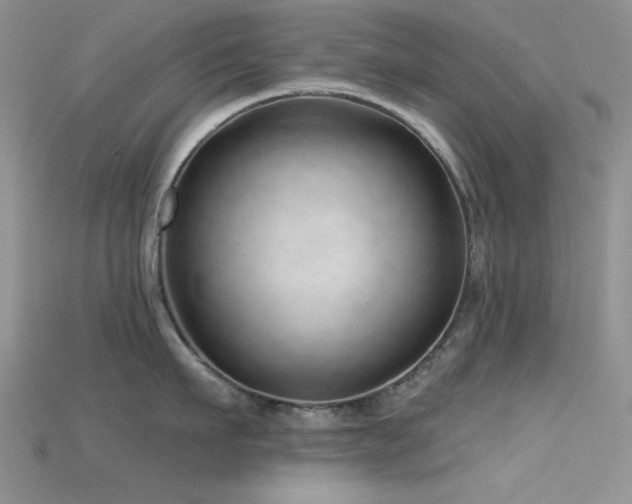 X0000115730911200911121509
