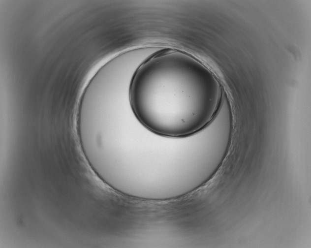 X0000115730912200911121509
