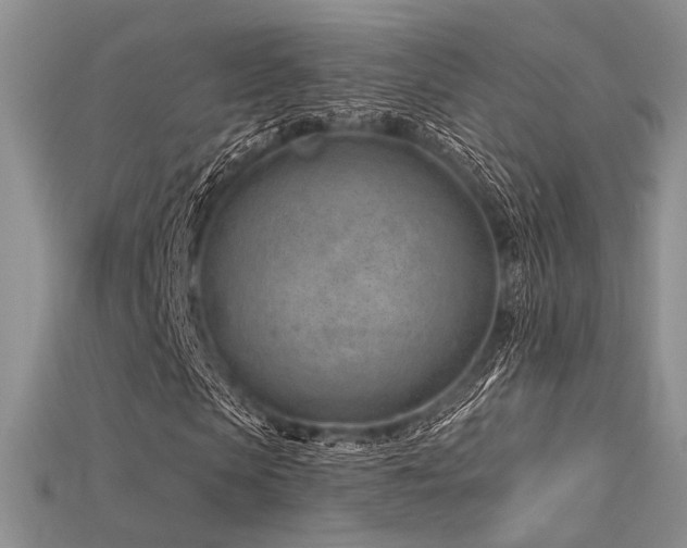 X0000115730913200911121508