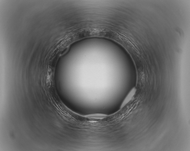 X0000115730914200911121508