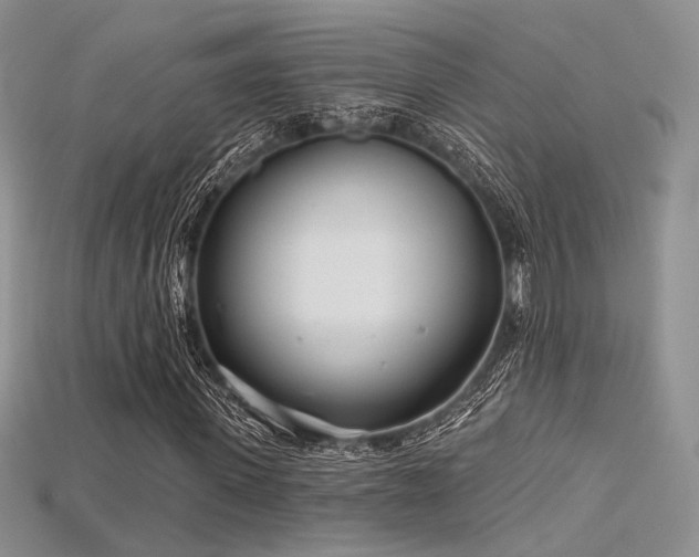 X0000115730915200911121508