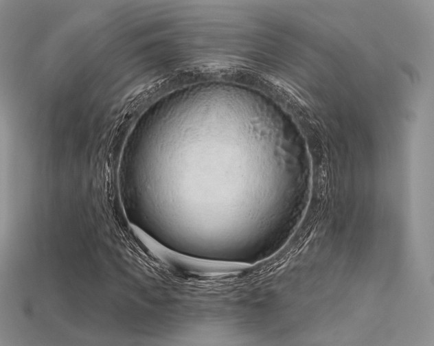 X0000115730917200911121508