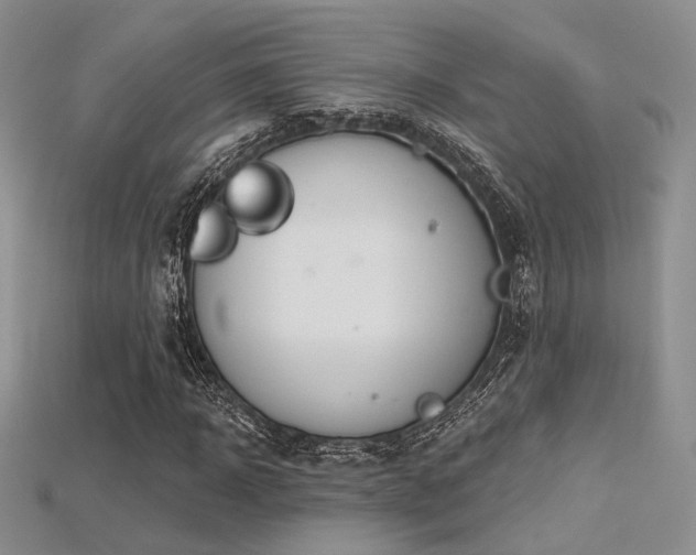 X0000115730918200911121508