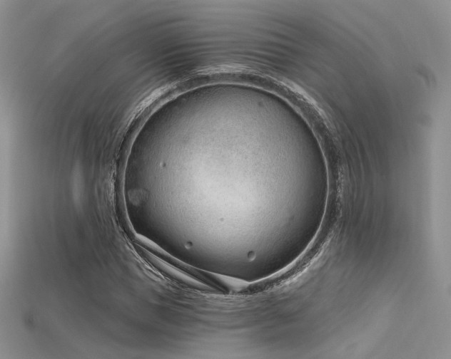 X0000115730921200911121508