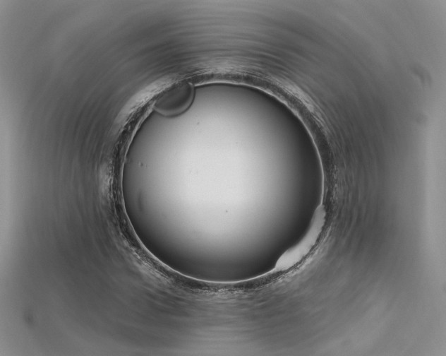 X0000115730922200911121508