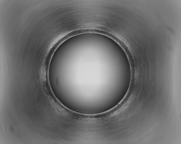 X0000115730925200911121508
